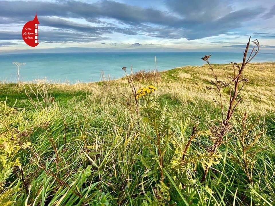 Villa Saint Jacques, Appart La Mer Le Tréport Esterno foto