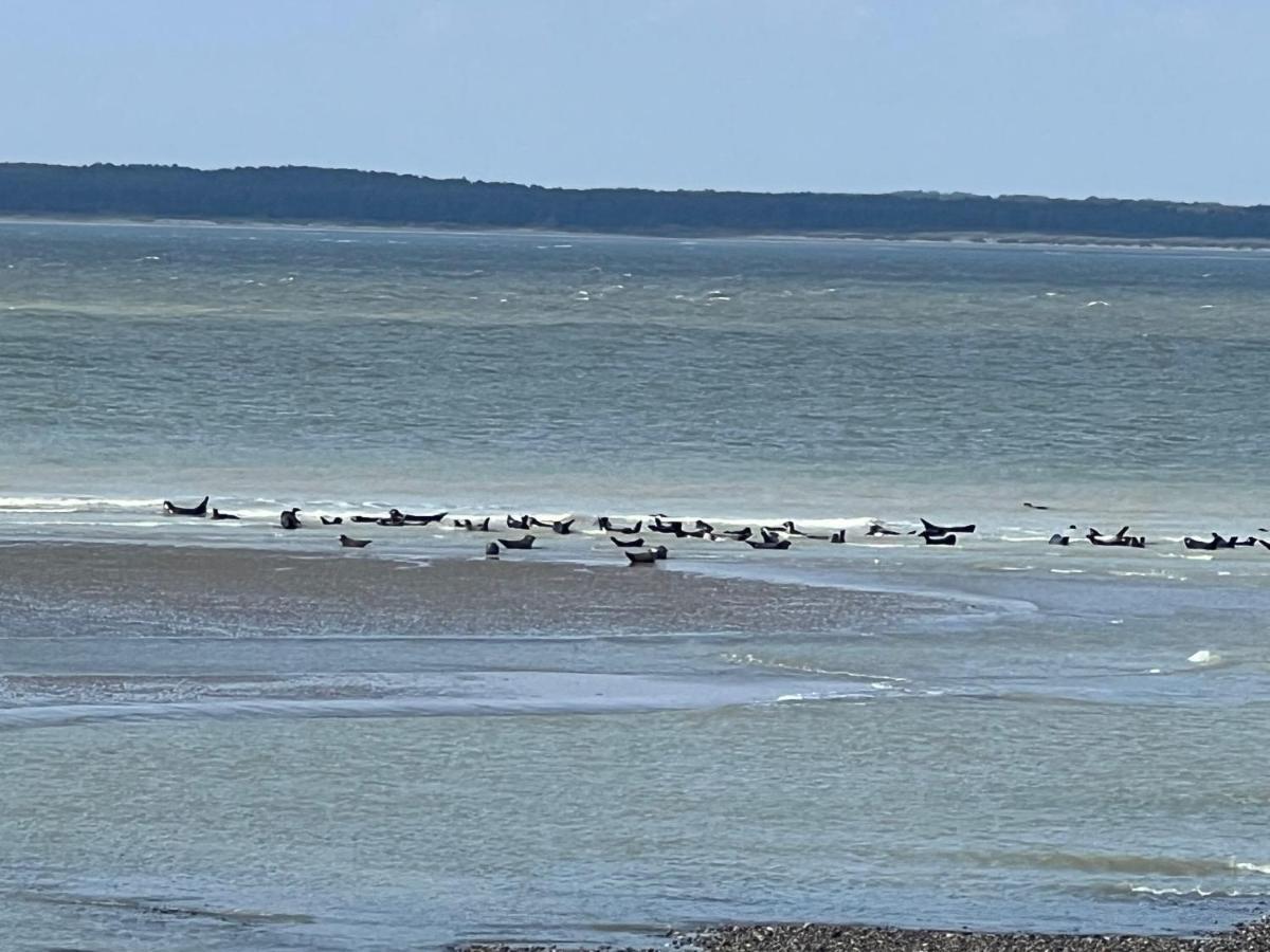 Villa Saint Jacques, Appart La Mer Le Tréport Esterno foto